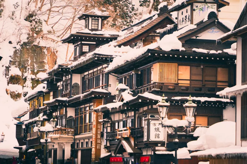 How to Pick the Right Guide for Your Rural Japan Journey (And Why It Matters More Than You Think)